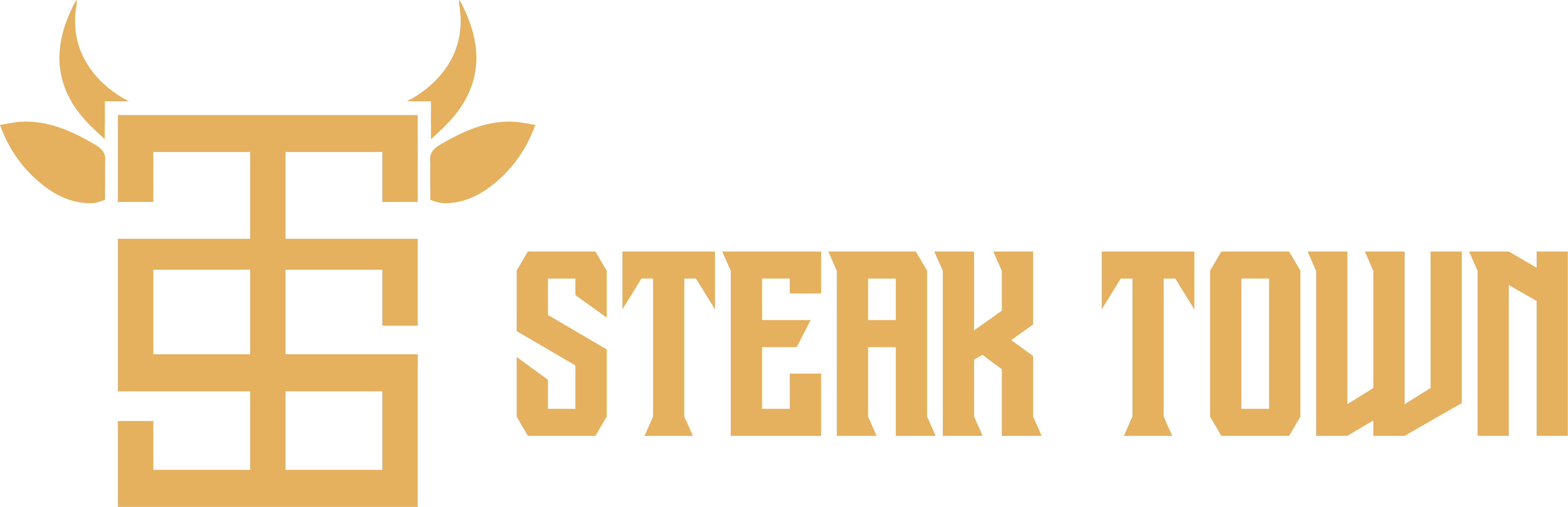steak-town-logo